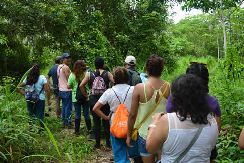 learn-spanish-in-tambopata-peru (1)