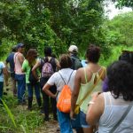 learn-spanish-in-tambopata-peru